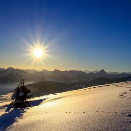 Bis 10 Personen 300m Zum Lift Juwel Wildschoenau Alpbachtal Wild165 *