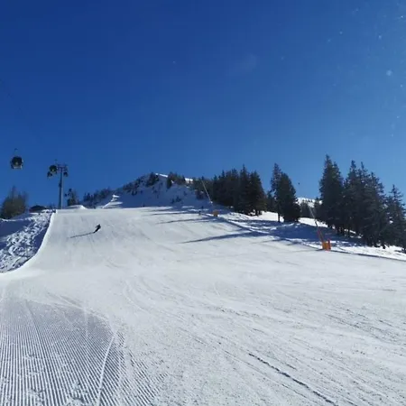 Dom wakacyjny Bis 10 Personen 300m Zum Lift Juwel Wildschoenau Alpbachtal Wild165 Auffach