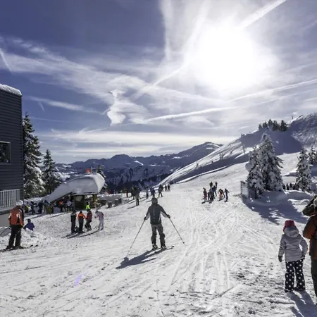 Dom wakacyjny Bis 10 Personen 300m Zum Lift Juwel Wildschoenau Alpbachtal Wild165 *